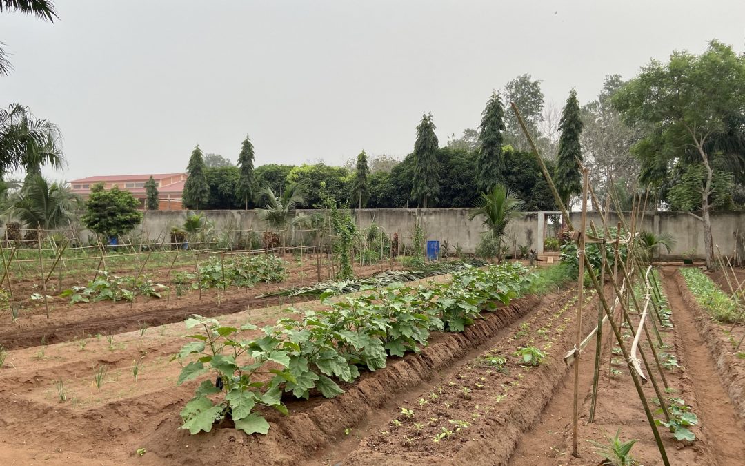 Equiper le potager de Damien